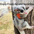 3PC Set Sugar Glider Harness Leash for Small Animal Soft Leather Training Ourdoor Walking Vest for Squirrel Hamster Rat