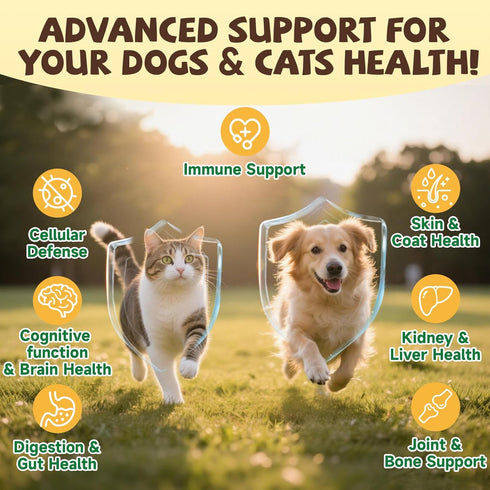 16 1 Mane-Immune, Mushroom for Dogs & Cats Lumps & Bumps, Turkey Tail Mushroom for Dog with MSM for Joint Health