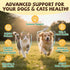 16 1 Mane-Immune, Mushroom for Dogs & Cats Lumps & Bumps, Turkey Tail Mushroom for Dog with MSM for Joint Health