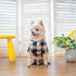KOOLTAIL Plaid Dog Hoodie, Pet Clothes Sweater with Hat and Pocket for Small Medium Large Dogs, Soft Winter Coat