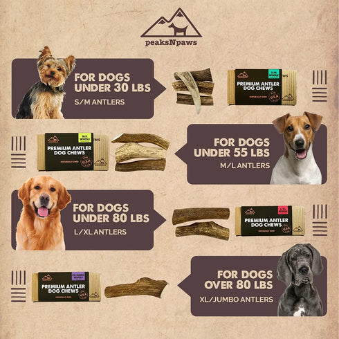 Premium All-Natural Grade A Elk Antlers for Dogs, No Additives, No Preservatives, Made in USA (Medium/Large)