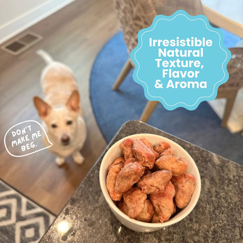 1LB hotspot pets Freeze Dried Chicken Hearts for Cats & Dogs - BIG BAG- Made in USA -Single Ingredient All Natural