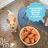 1LB hotspot pets Freeze Dried Chicken Hearts for Cats & Dogs - BIG BAG- Made in USA -Single Ingredient All Natural