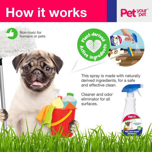32 Oz. Dog Pee and Poop Remover fl All-in-One Pet Stain and Odor Remover with Plant-Derived Ingredients Stain and Odor