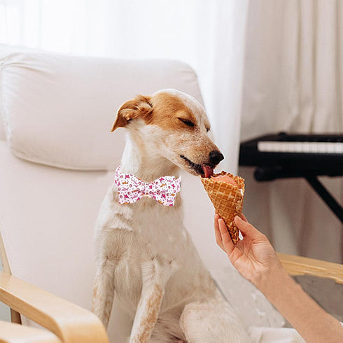 Lionheart Glory Dog Collar, Shark Print Bow Collar, Pink Adjustable Soft Collar for Large Dogs