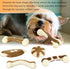 6 Pieces Dog Chew Toys for Aggressive Chewers, Real Beef Flavor, Durable Nylon, Small Breed Puppies