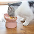 Raised Cat Bowl, Elevated Feeding Bowls with Stand, Anti Vomit Tilted Cat Food Bowl for Pets
