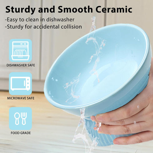 Elevated Cat Bowl, Ceramic Tilted Food Bowl, Anti Vomiting, Dishwasher Safe for Indoor Cats