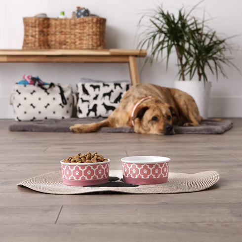 Bone Dry Lattice Collection Pet Bowl & Canister, Small Set, 4.25x2 inches, Rose