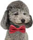 YOY Handcrafted Adorable Pet Bow Ties, 6-Pack Adjustable Neck Tie 10"-17" for Dogs and Cats
