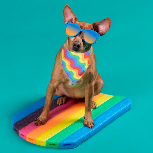 Rainbow Dog Bandanas - Reversible Triangle LGBT+ Bandanas for Medium and Large Dogs (Pride, Large)