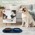 Dog Food Bowls & Water Bowls with No-Spill Non-Skid Feeder Bowls, Dog Bowl Mat for Small Medium Large Dogs Cats (Blue)