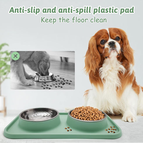 BNOSDM Double Dog Food Bowls with Non-Spill Plastic Mat, Pet Feeder Bowl Set for Small Medium Dogs