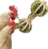 Spinning Feeder Ball Toy for Chickens, Food Holder for Backyard Coops, Enrichment