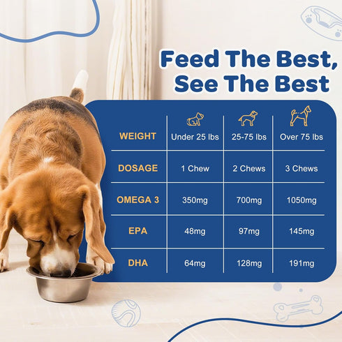 3 6 9 120 ZEBORA Salmon Oil for Dogs Skin and Coat - Omega Fish Oil Soft Chews for Dogs Itchy Skin Relief - Dog Fish