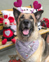 BoomBone Dog Valentines Day Bandana 2 Pack, Triangle Bibs Pet Scarf for Small Dogs, Puppy Cat
