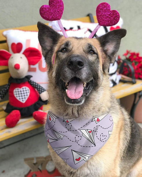 BoomBone Dog Valentines Day Bandana, 2 Pack Triangle Bibs for Medium and Large Dogs