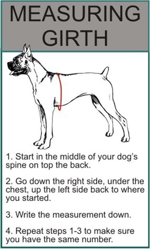 Doggie Stylz Set of 2 Reflective Blind Dog Removable Patches, Durable and Interchangeable for Harnesses & Vests.