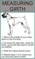 Doggie Stylz Set of 2 Reflective Blind Dog Removable Patches, Durable and Interchangeable for Harnesses & Vests.