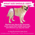 (20 Count) Bodhi Dog Disposable Female Dog Diapers - Super Absorbent Dog Diapers for Female Heat Cycle - Adjustable Fit