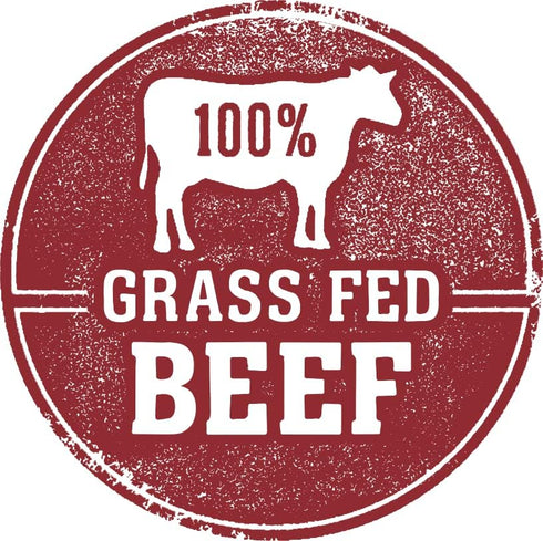 Fresh Is Best - Freeze Dried Raw Dog Food, Beef, 16 Ounces