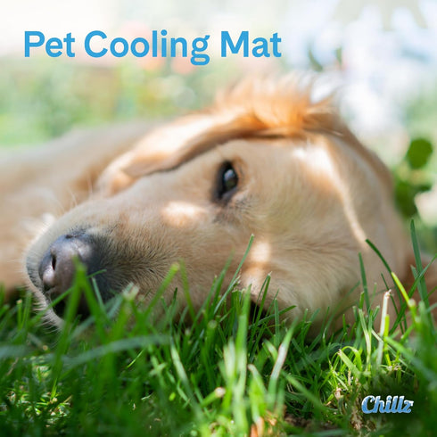 Hugs Pet Products Chillz Gel Mat - Extra Large - Pressure-Activated Cooling Pad - Non-Toxic - Ideal for Home & Travel