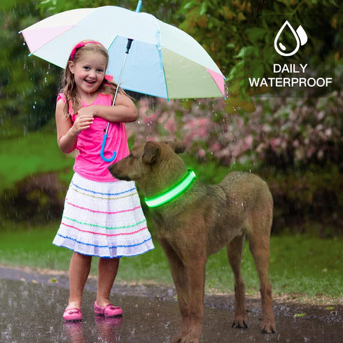 YFbrite Light Up Dog Collar, Full Adjustable Rechargeable LED Safety Glowing Collar for Night (Design 2-Green, Large)