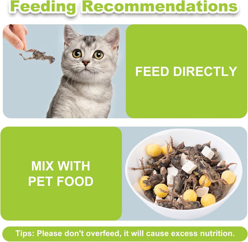 Freeze Dried Dogs Cats Treats, Little Quail Natural Dog Treats, Cat Delicious Snacks, Healthy Easy Digestion Pet Food