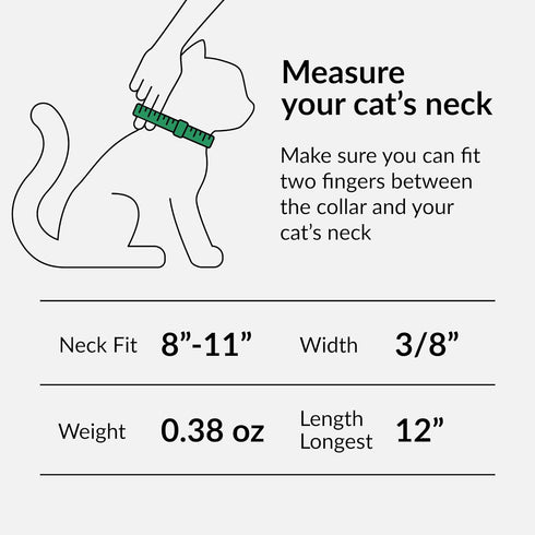 CollarDirect Leather Cat Collar with Elastic Strap, Kitten Collar with Bell, 8-11 Inch, Mint Green
