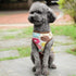 Small Dog Shirt, Cute Puppy Cat T-Shirt, Soft Cotton Sleeveless Tee for Small Dogs Cats, Summer Doggy Vest (Coffee