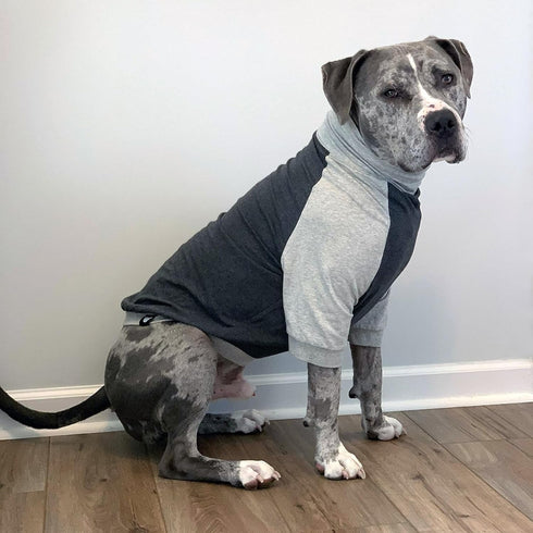 Tooth & Honey Large Dog Pullover Shirt – Dark & Light Grey Summer Shirt for Allergy Relief, XX-Large