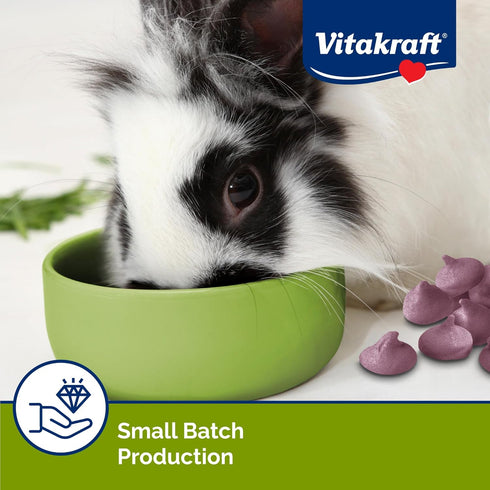 5.3 oz Chinchillas, Vitakraft Drops Rabbit Treats with Wildberry Flavor Delicious Yogurt-Based Snacks for Rabbits