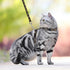 Cat Harness and Leash Set, Escape Proof Adjustable for Outdoor Walking with Safety Buckle for Small Animals