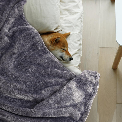 Onarway Dog Blanket Washable for Puppy: 4 packs Dog Blankets 40”x28” - Fluffy Soft Small Throw for Cat Puppy Kitten Dogs - Fleece Pet Blankets for Bed Sofa Car and Indoor - Lake Green and Purple by Onarway