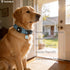 Taghelp 2-Pack 1.2") -Smart QR Code Pet ID Tag for Dogs - Instant GPS Location Alert via Email, No App/Subscription