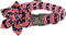 Lionheart Glory Adjustable American Flag Dog Collar, Heavy Duty Patriotic Flower Collar for Small Dogs
