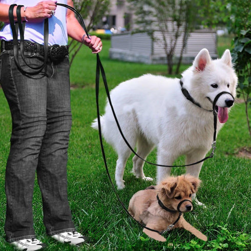 BARKLESS Dog Head Collar, Adjustable and Padded, No-Pull Training Tool with 1 Dog Leash and Training Guide
