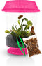 Store Venus Fly Trap Live Plant with 4.5" Pink Terrarium + Carnivorous Plants