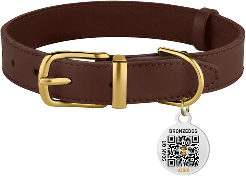 BRONZEDOG Leather Dog Collar - Durable Basic Pet Collar with Metal Buckle for Small Medium Large Dogs (13-16 Inch, Dark