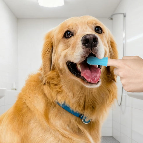 Generic 4Pcs Set 360 Dog Bath Brush Non-Slip Shampoo Brush Anti-Slip Adjustable Massage Scrubber Silicone Bristles
