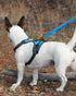 Joytale Double-Sided Reflective Dog Leash, 6 FT/5 FT/4 FT, Padded Handle for Medium & Large Dogs, Sky Blue