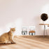 2 Pcs Small Wall Mounted Cat Bowls, Elevated Hanging Puppy Food and Water Bowls, Stainless Steel Non-Spill Kitten