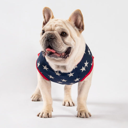 Fitwarm Patriotic Star Dog Shirt for 4th of July, Memorial Day, Independence Day, Holiday Dog Clothes for Small Dogs Boy Girl, Pet Cat Outfit, 100% Breathable Cotton, Red, Navy Blue, White, Small