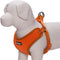 Blueberry Pet 4 Colors Better Basic Dog Harness Vest, Orange Fusion, Chest Girth 17" - 21"