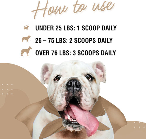 Immune Support Mushroom Powder for Dogs, Organic Mushroom Complex for Immunity and Longevity - 90 Scoops