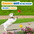 Squeaky Dog Toys for Small Dogs and Medium Breeds, 6pcs Squeaky Dog Balls (2.0 * 2.0 * 2.7inch)