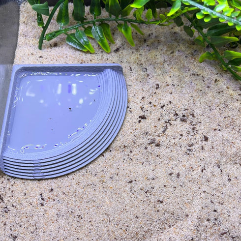 Hermit Crab Corner Pool | Watering Dish for Crabs, Frogs, Lizards | Corner Watering Pool with Ramp Access | Made in USA