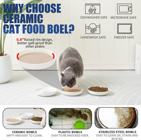 Shallow Cat Food Bowls, 5.9 Inch Wide Ceramic Dishes for Indoor Cats, Anti Whisker Fatigue, 3 Pack (Blue)