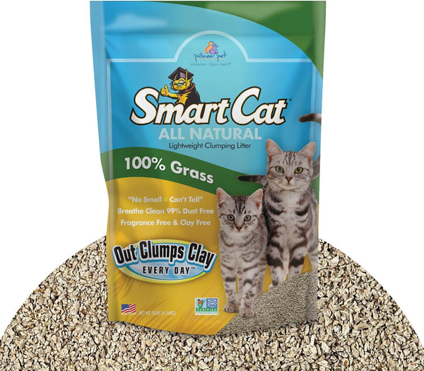 All Natural Clumping Cat Litter, 10 Pound (160oz 1 Pack), Alternative to Clay and Pellet Litter