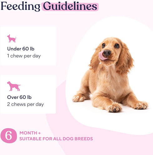 Pawfy Multivitamin Chews | 15 in 1 Premium Supplement for Immunity, Joints, Skin, Coat, Energy with Vitamins